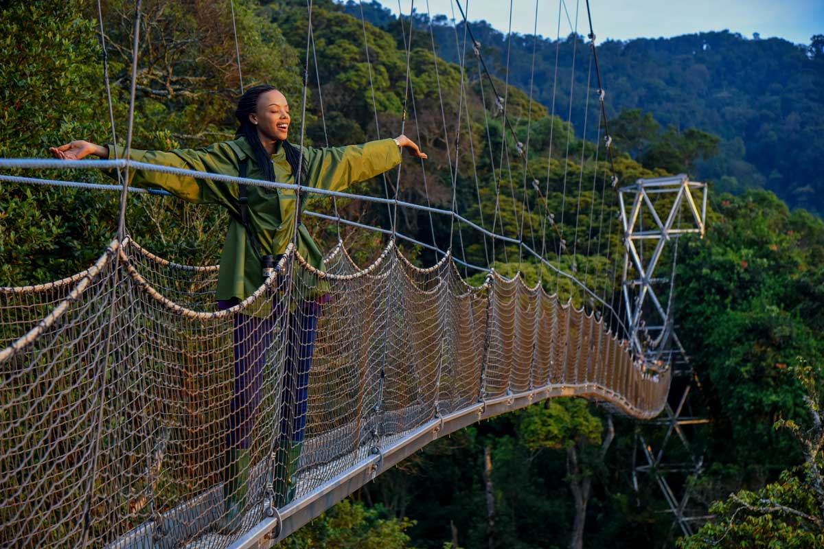 canopy-walk-experience-in-rwanda